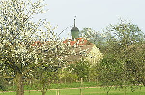 Blick zur Dorfkirche Döllingen - im Vordergrund stehen blühende Obstbäume.