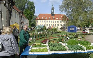 Blick zum Elsterschlossgymnasium im Vordergrund steht ein Händler, der Pflanzen verkauft.