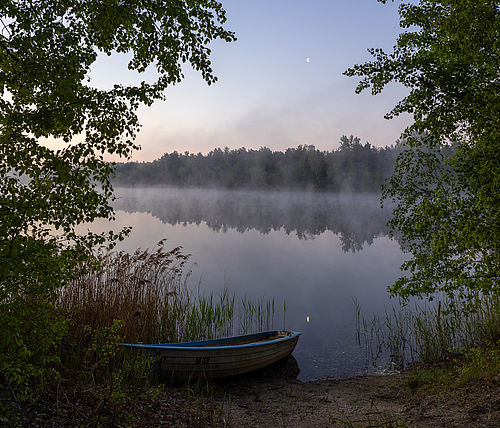 Foto: Frau Lezius /  „Nebel, Mond und Morgenstimmung“