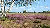 Foto: Naturparkarchiv / Lothar Wendt