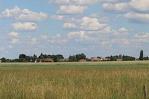Blick über die Felder auf das am Horizont liegende Eichholz