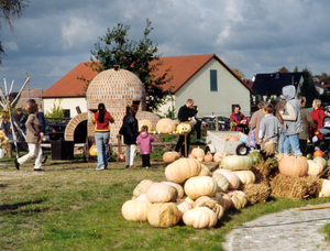 Mühlenmarkt in Oppelhain - mit zahlreichen Kürbissen, Besuchern und im Hintergrund dem Pechofenmodell.