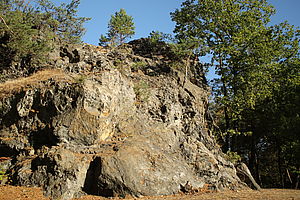 Rothsteiner Felsen mit erkennbaren Flechten und Grasbewuchs. aus Felsspalten wachsende Kiefern und am Rand Laubbäume