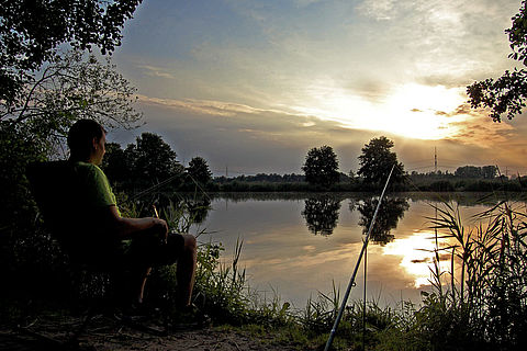 Angler sitzt bei Sonnenuntergang an Maasdorfer Teichen