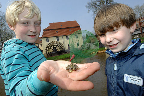 Zwei Jungen betrachten einen kleinen Frosch der bei Einem auf der Hand sitzt.