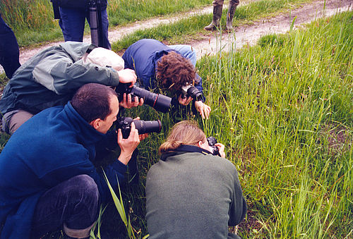 Vier Personen hocken mit Fotoapparaten im Gras und fotografieren etwas.