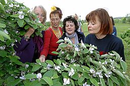 Foto: Veit Rösler, Lizenz: Veit Rösler